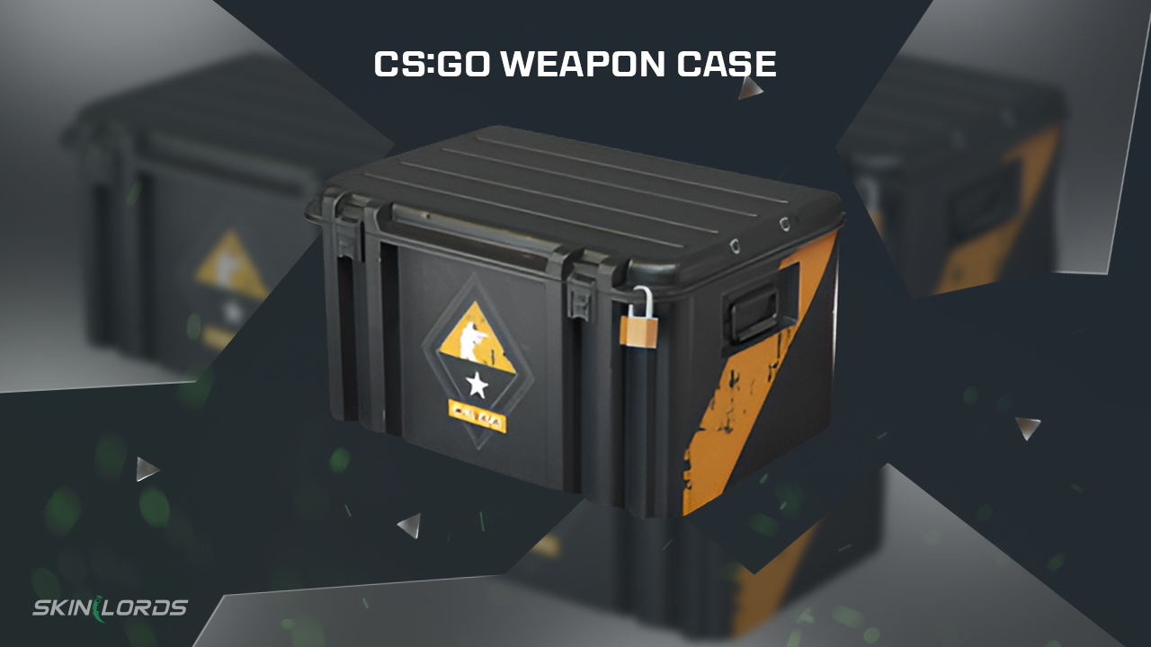 cs2 weapon case