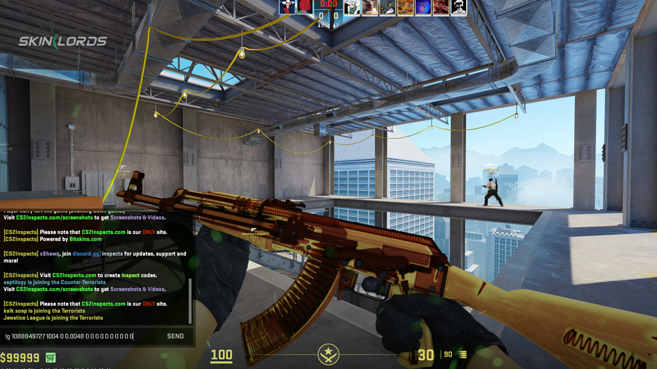 cs2 skin inspecting in-game