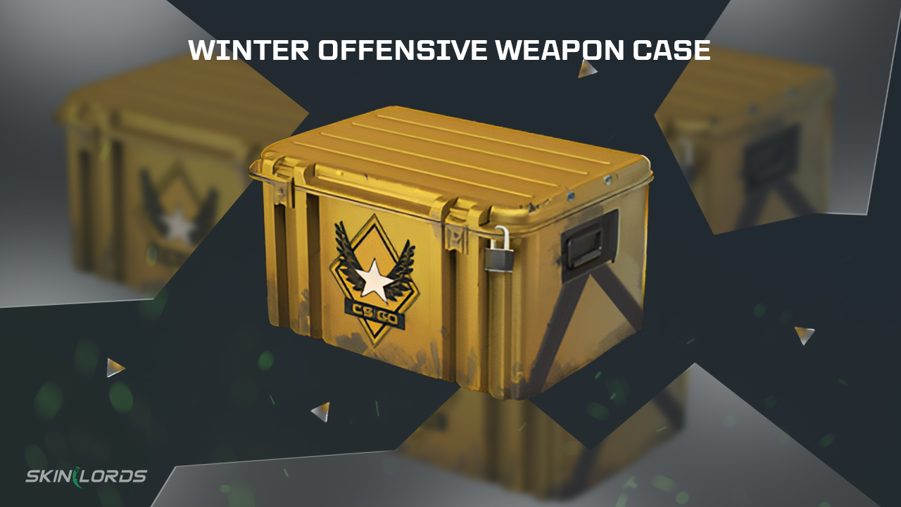 cs2 winter offensive weapon case