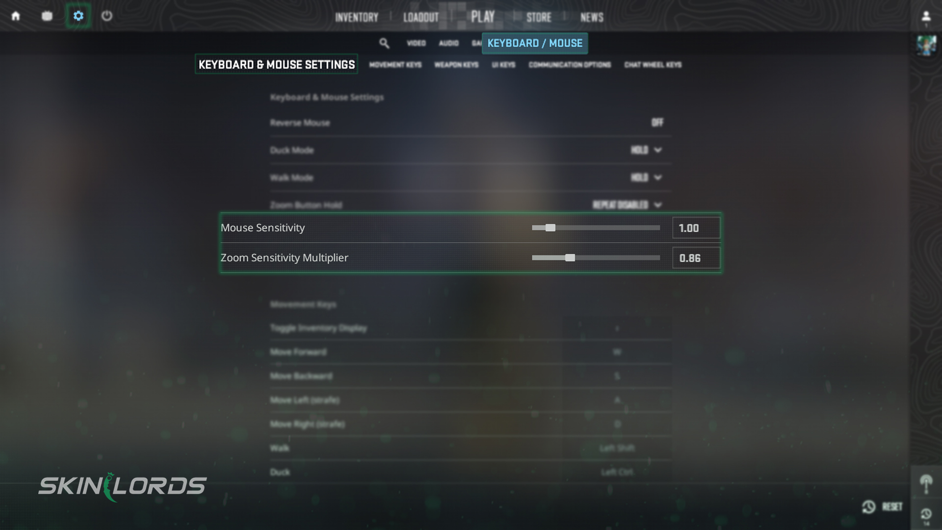 cs2 mouse settings