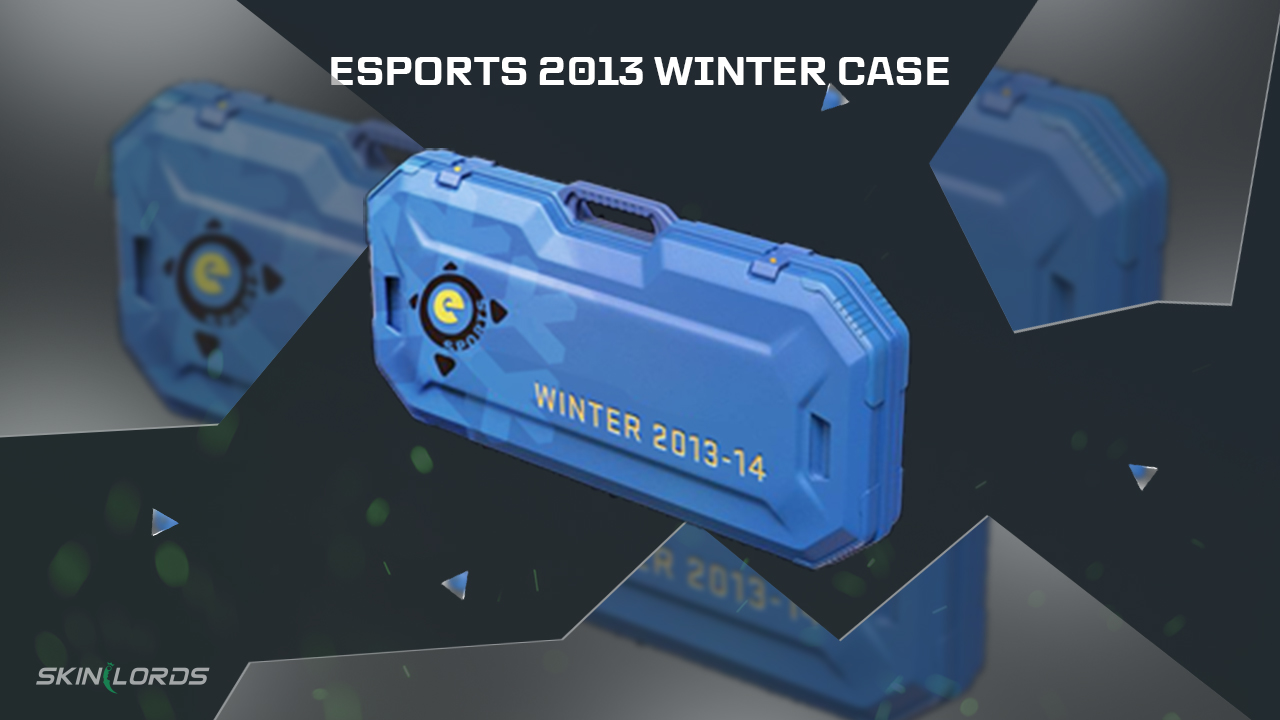 cs2 esports 2013 winter case