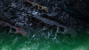 Best Cheap AWP Skins in CS2