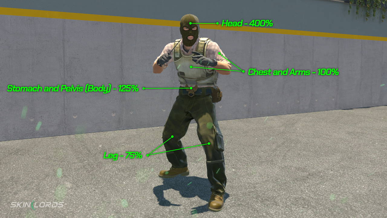 CS2 Hitboxes Explained - SkinLords