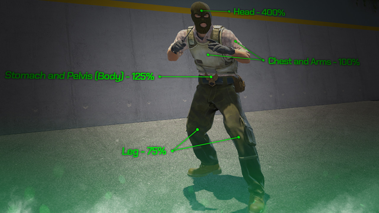 CS2 Hitboxes Explained - SkinLords