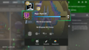 CS2 XP Guide - Why is my CS2 XP Reduced? - SkinLords