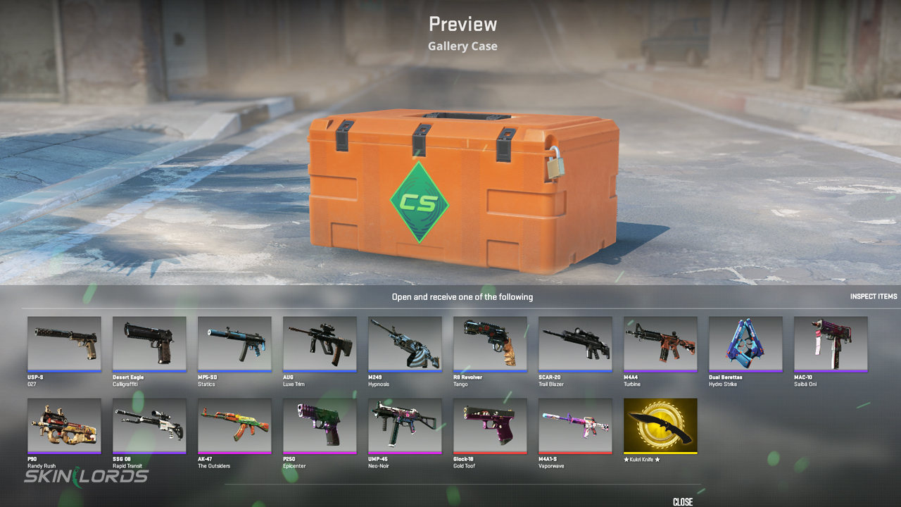cs2 gallery case
