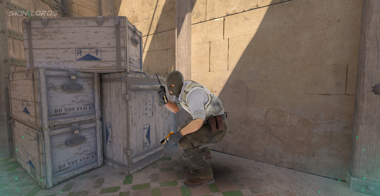 cs2 igl