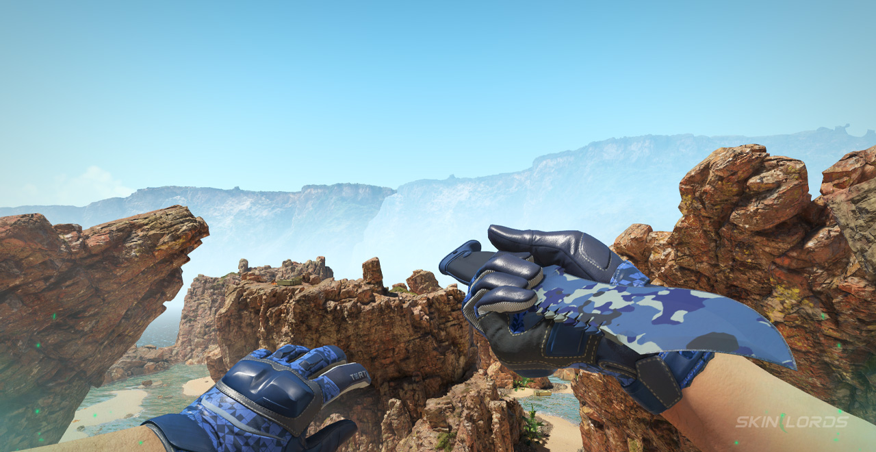 Best Budget Blue Knife Glove Combo - Bowie Knife Brightwater, Moto Gloves Polygon