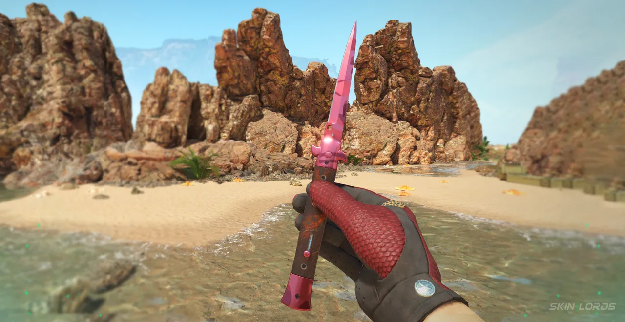 Best CS2 Knives for the Driver Gloves Dragon Fists - Driver Gloves Dragon Fists + Stiletto Knife Slaughter
